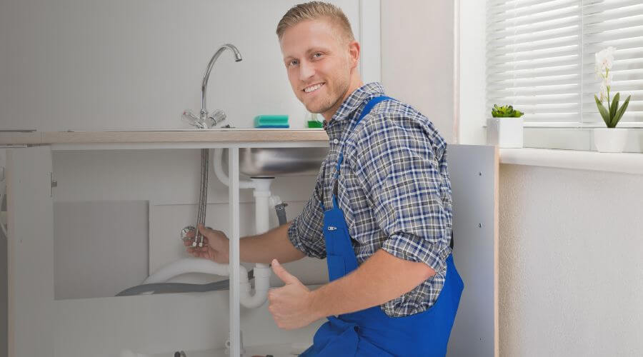 Professional same day plumber in Baroda, MI
